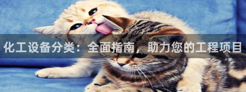 新航娱乐招商率合作 485624 怎么样