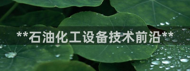 新航娱乐背后的老板