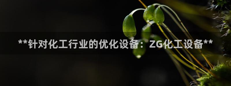 新航娱乐的创始人背景是谁