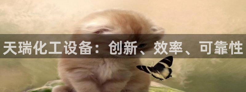 新航娱乐公司扣费流程详解表格