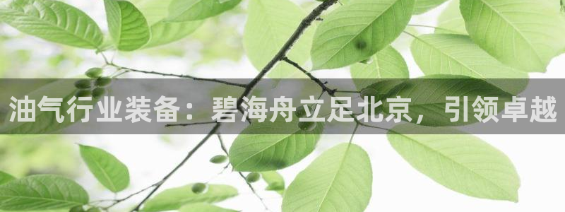 新航娱乐官网下载