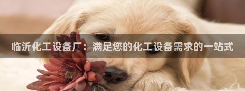 新航娱乐平台用户评价及反馈