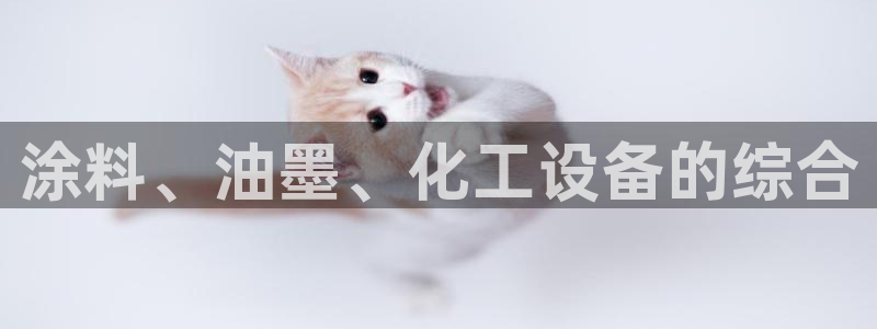 新航娱乐的创始人背景是什么