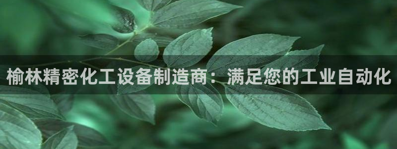 新航娱乐公司扣费流程详解图表
