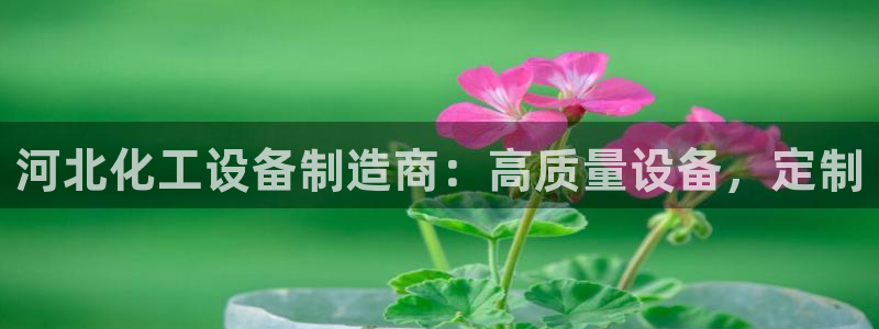 新航娱乐公司简介和历史背景