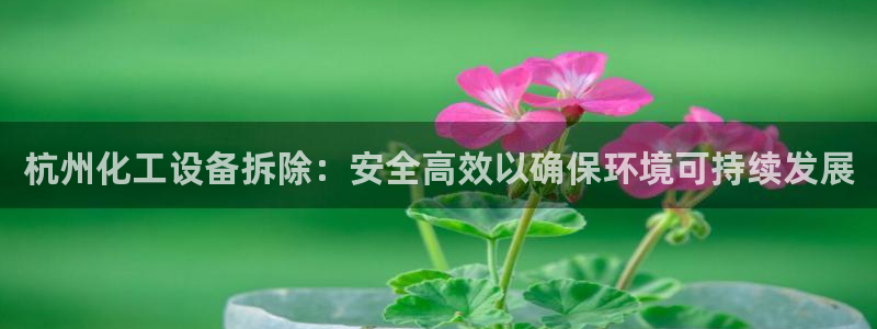 新航娱乐的背景和历史背景是什么