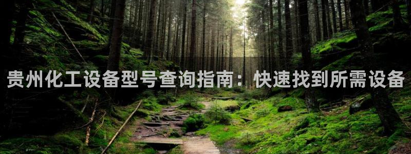 新航娱乐的创始人简介图片