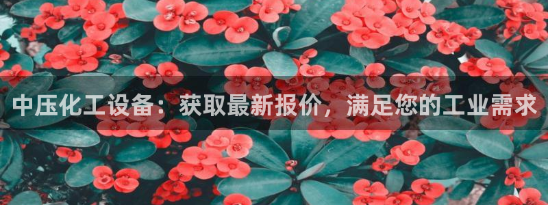 新航娱乐飞.3.3.4.8.2新航娱乐.可以吗.长久.中国