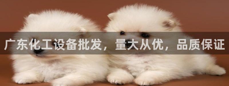 新航娱乐背后的老板叫什么