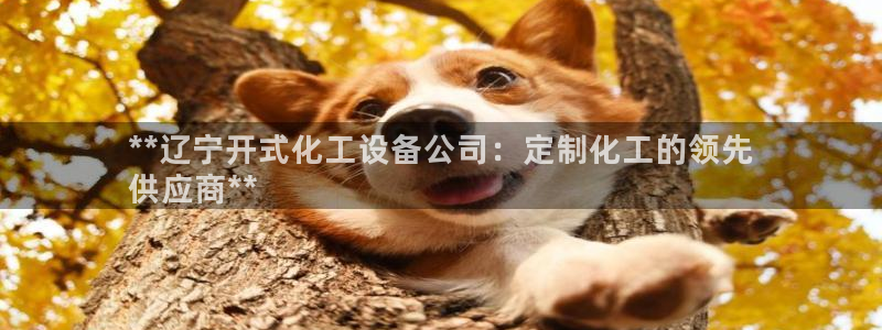 新航娱乐公司扣费流程详解图片