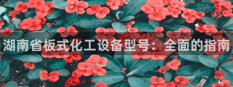 新航娱乐app最新版本更新内容是什么样的