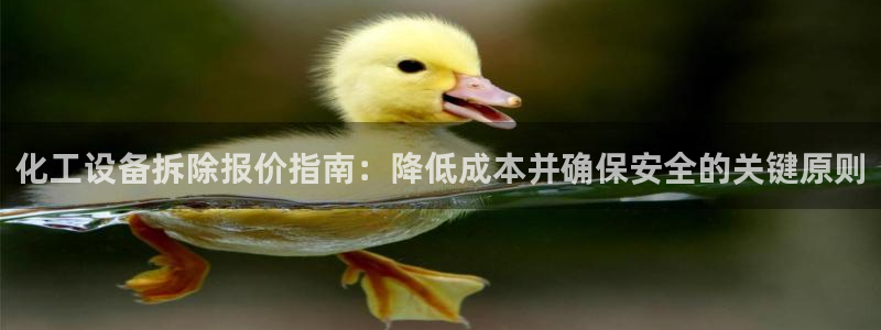新航娱乐公司旗下艺人