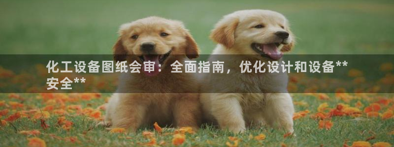 新航娱乐公司简介和历史背景