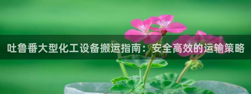新航娱乐直开.中国最新版本更新内容