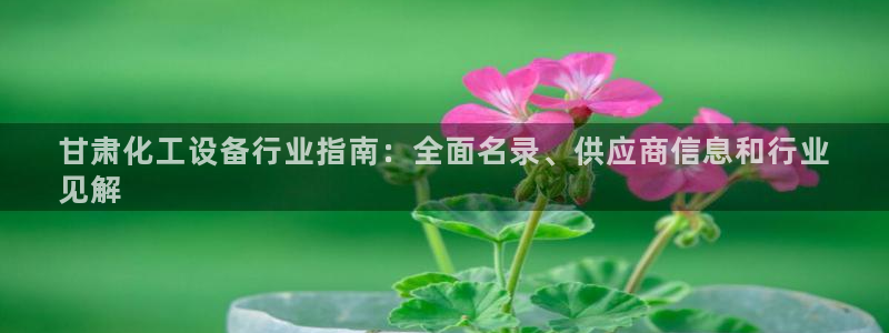 新航娱乐入网要求