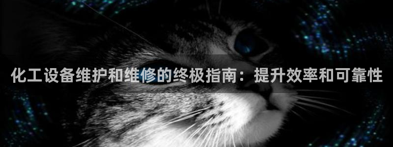 新航娱乐平台用户评价及反馈
