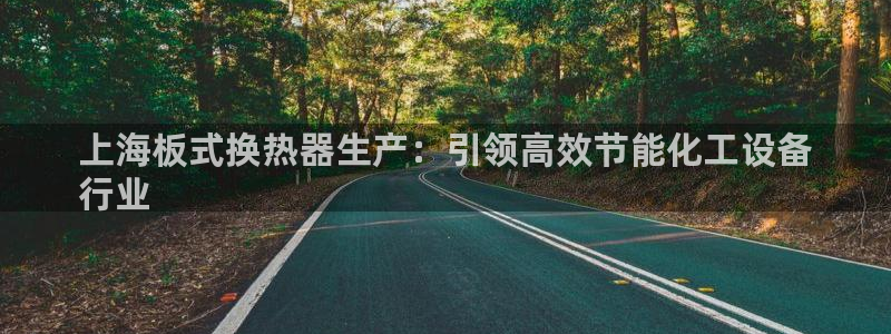 新航娱乐公司简介和历史背景