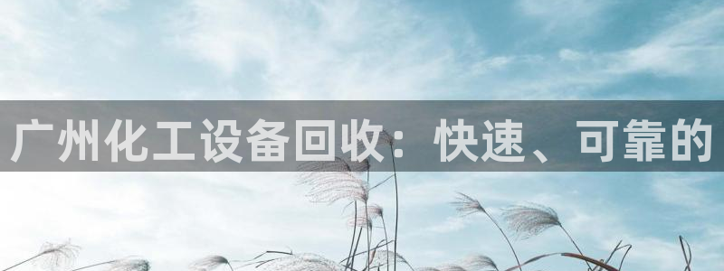 新航娱乐最新消息