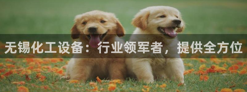 新航娱乐app的最新版本更新内容