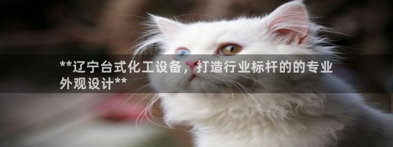 新航娱乐的员工工资福利及待遇如何