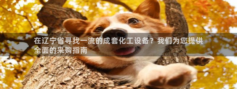 新航娱乐公司简介和历史背景介绍