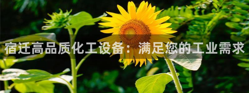 新航娱乐公司扣费流程详解表图片