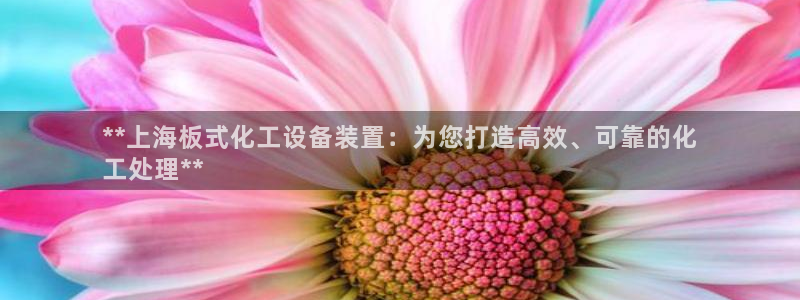 新航娱乐最新消息