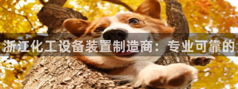 新航娱乐背后的老板是谁
