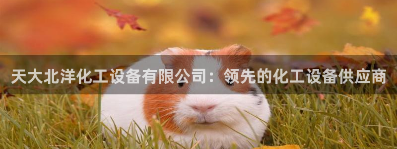 新航娱乐平台用户评价及反馈