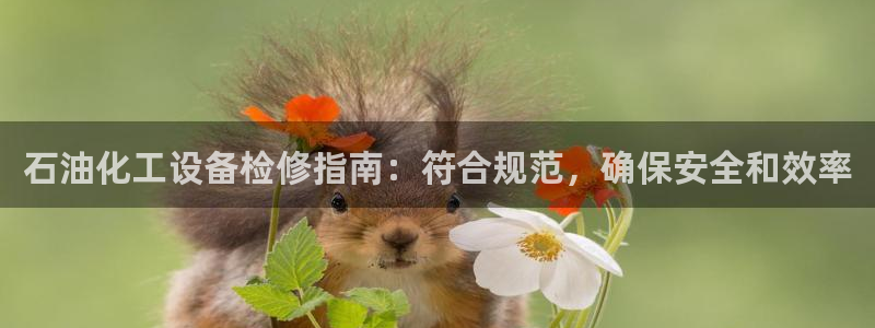 新航娱乐app最新版本更新内容是什么样的