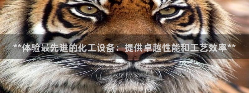 新航娱乐雀7IIII2联他前