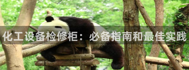 新航娱乐元哥