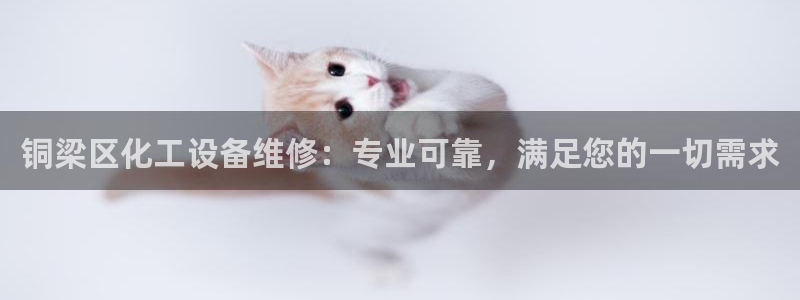 新航娱乐app官方免费下载安卓