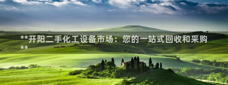 新航娱乐公司扣费流程详解表格