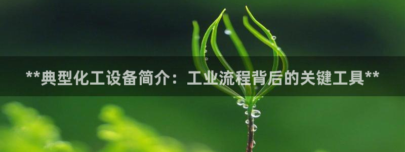 新航娱乐公司简介和历史背景分析