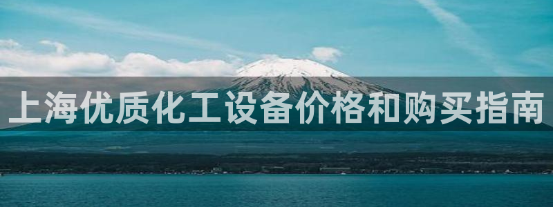 新航娱乐公司简介和历史背景分析