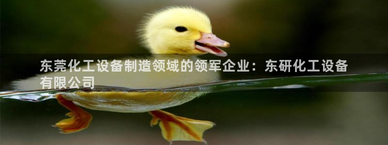 新航娱乐的创始人是谁啊