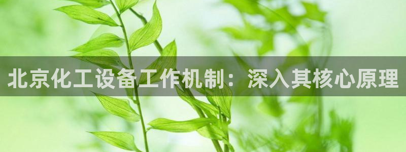 新航娱乐app的最新版本更新内容是什么