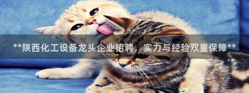 新航娱乐元哥