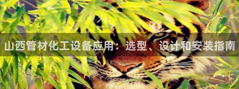 新航娱乐的创始人背景是谁