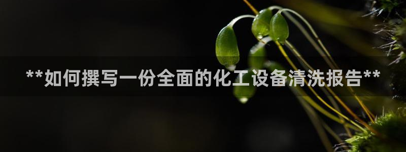 新航娱乐的股东名单和背景介绍是什么