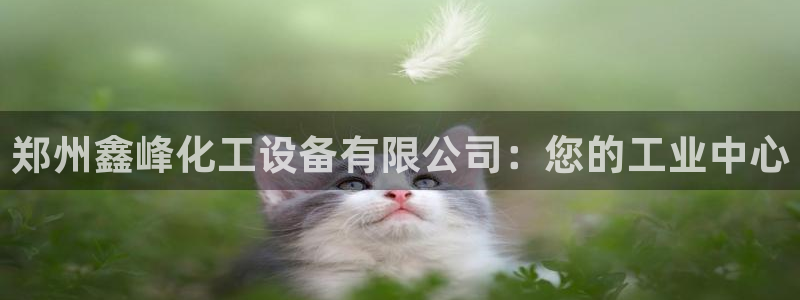 新航娱乐倒闭了吗知乎