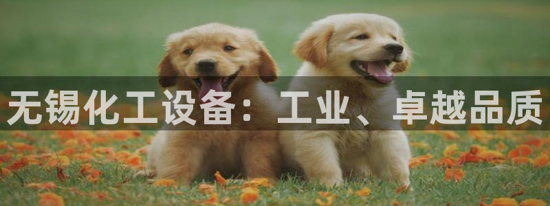 新航娱乐扣款和彩票的区别