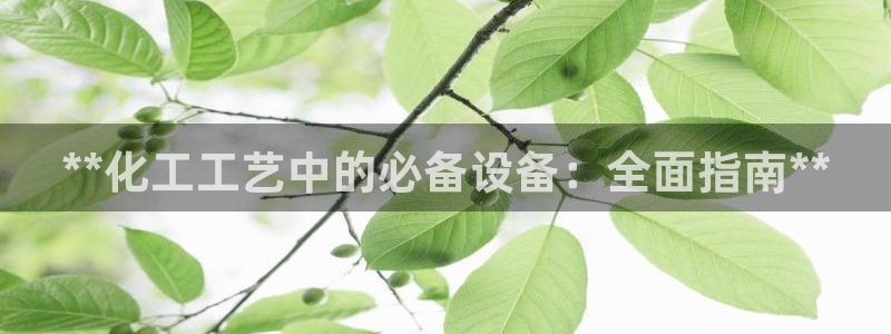 新航娱乐入网要求