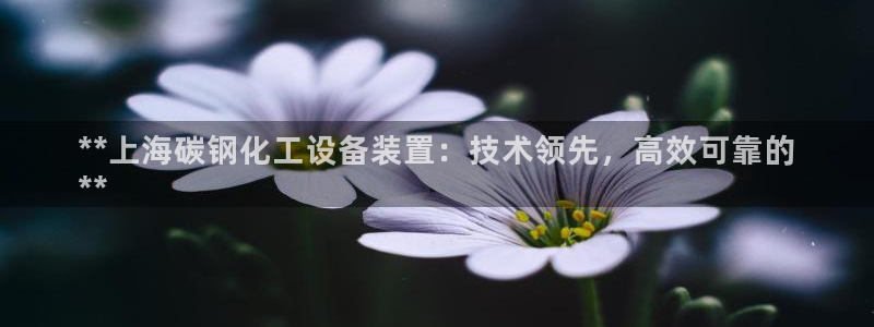新航娱乐公司扣费流程详解视频大全