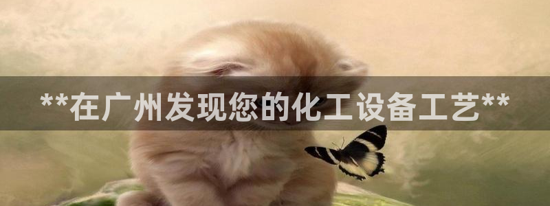 新航娱乐的创始人是谁呀