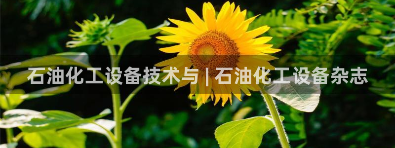 新航娱乐背后的老板