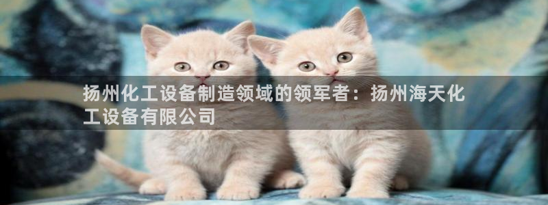 新航娱乐公司扣费流程详解表最新