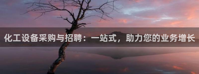 新航娱乐元哥