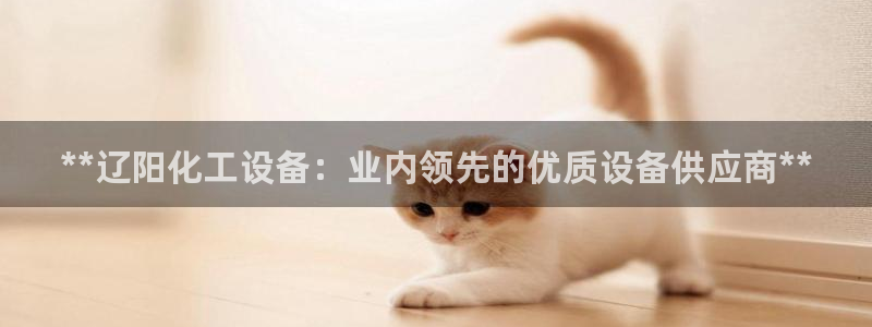 新航娱乐元哥